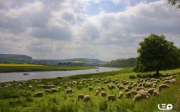 20100523_Pfingstradtour nach Grohnde_3703A.jpg