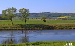 2016-05-07 08.50.39 - Frühling im Solling.JPG