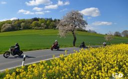 2016-05-05 16.42.24 - Rapsblüte an der Weser.JPG