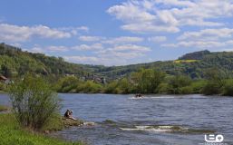 2016-05-05 14.53.57 - Rapsblüte an der Weser.JPG